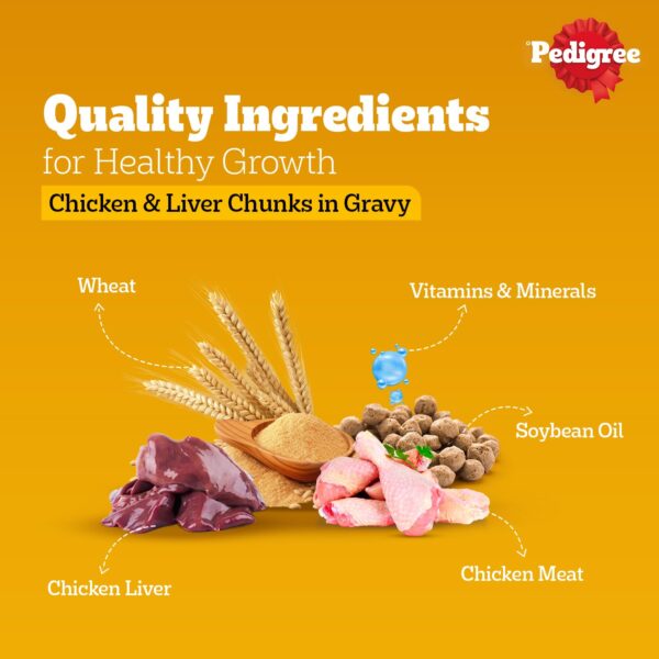 Pedigree Adult Wet Dog Food, Chicken & Liver Chunks in Gravy, 70 g (Pack of 30), Made with Real Meat, 100% Complete & Balanced Meal for Adult Dogs