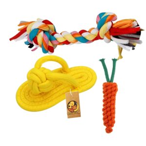 Foodie Puppies 3-in-1 Cotton Rope Chew Toy Combo for Small Dogs & Puppies | Durable, Safe Braided Rope Toys for Teething, Playing, Fetching & Training (2Knot, Carrot and Slipper) (Color May Vary)