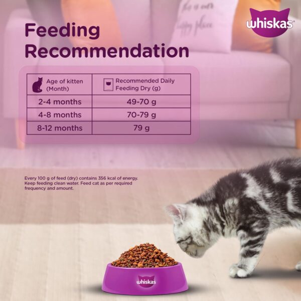 Whiskas Junior Mother Cat & Kitten (2-12 Months) Dry Cat Food, Ocean Fish Flavour, 1.1 kg, Contains 41 Essential Nutrients, Complete & Balanced Nutrition for Mother Cats & Kittens