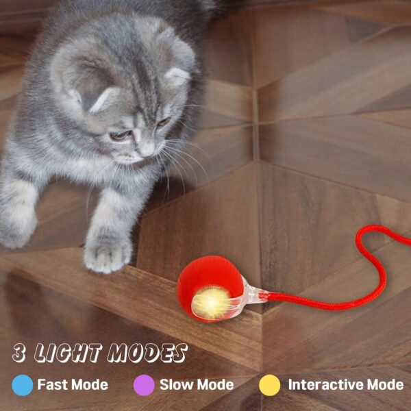 PLLCJB Interactive Rolling Dog Ball, 2025 New Electric Cat Toy,360 Smart Automatic Rolling Pet Ball, Fast Moving Toy for Dog and Cat