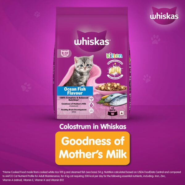 Whiskas Junior Mother Cat & Kitten (2-12 Months) Dry Cat Food, Ocean Fish Flavour, 1.1 kg, Contains 41 Essential Nutrients, Complete & Balanced Nutrition for Mother Cats & Kittens