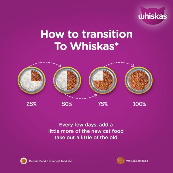Whiskas Junior Mother Cat & Kitten (2-12 Months) Dry Cat Food, Ocean Fish Flavour, 1.1 kg, Contains 41 Essential Nutrients, Complete & Balanced Nutrition for Mother Cats & Kittens