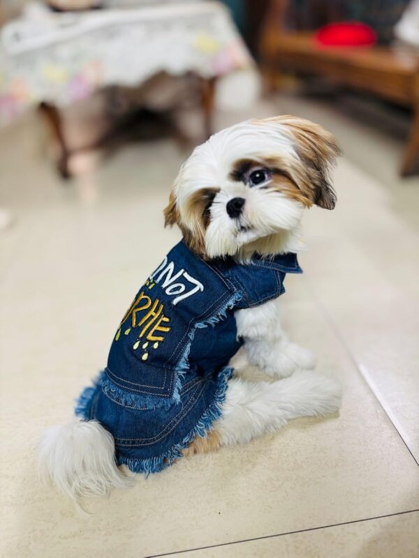 Pet Jeans Jacket Cool Blue Denim Coat Pet Cats Lapel Vest Classic Puppy, Pet Denim Jacket Breathable Pet Clothes, Soft and Cool Summer Clothes for Dogs Cats (Blue, 12 Inch)