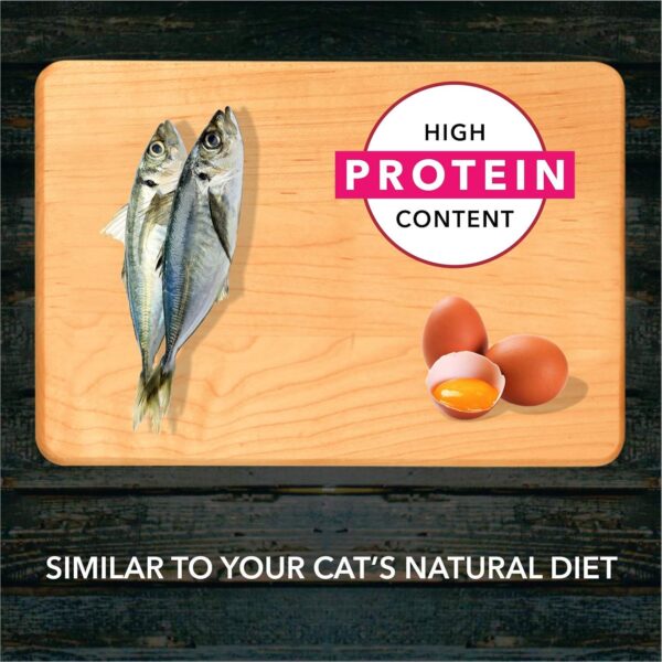 Meat Up Adult Dry Cat Food, Ocean Fish – 1.2kg (Buy 1 Get 1 Free)