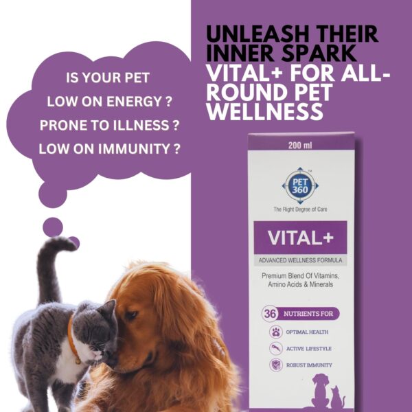 Vital+ Advanced Wellness Formula for Dogs & Cats | Multivitamin Syrup for Healthy Skin, Joints & Boosted Immunity | Nutritional Supplement with Vitamins & Minerals for Enhanced Growth – 200 ml