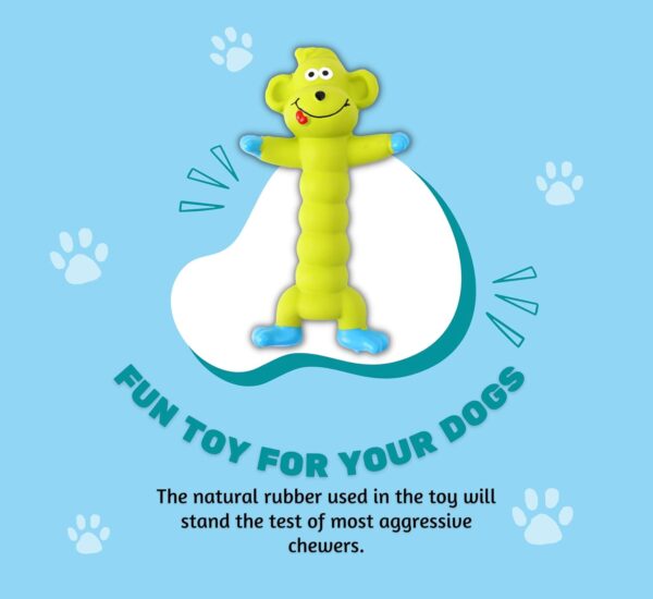 Foodie Puppies Interactive Latex Squeaky Chew Dog Toy – (Green Monkey, 20cm) | Small to Medium Dogs & Puppies | Durable, Rubber, Non-Toxic, Animal Design Playing & Fetching Pet Toy | Reduce Anxiety