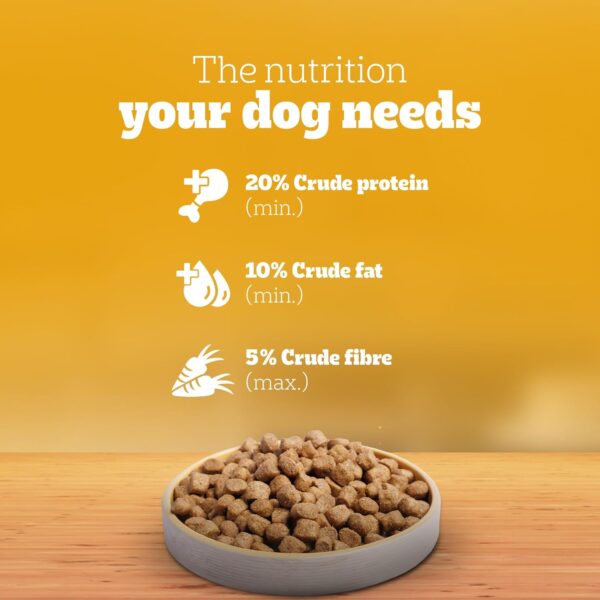 Pedigree Dry Food for Adult Dogs, Meat & Rice Flavour, 3kg Pack