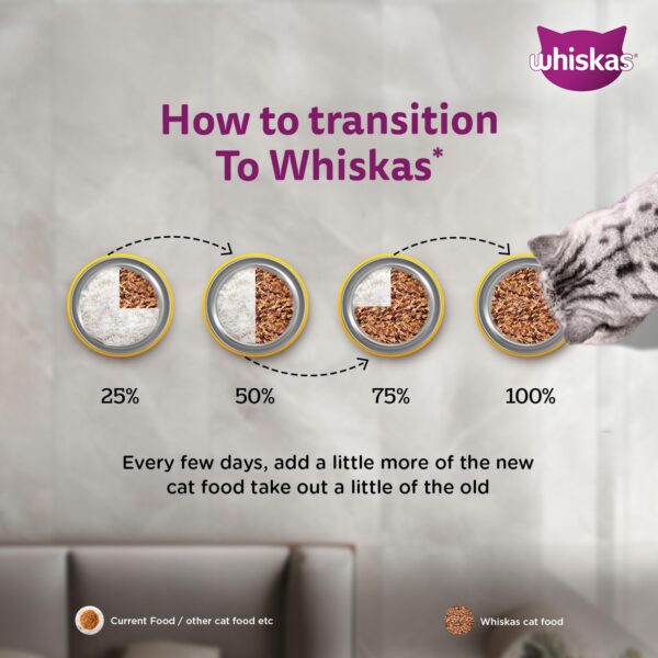 Whiskas Adult (1+ Years) Wet Cat Food, Chicken in Gravy, 80 g, Pack of 14, Hydrating Food Made With Real Chicken, 100% Complete & Balanced Nutrition for Adult Cats