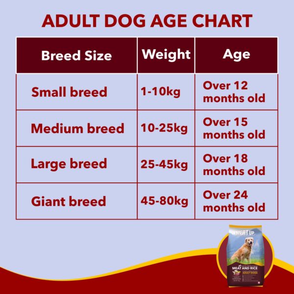 Meat Up Adult Dry Dog Food Meat and Rice, 10kg Pack (Buy 1 Get 1 Free), Total 20 Kg Pack