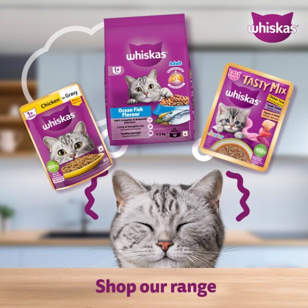 Whiskas Adult (1+ Years) Wet Cat Food, Chicken in Gravy, 80 g, Pack of 14, Hydrating Food Made With Real Chicken, 100% Complete & Balanced Nutrition for Adult Cats