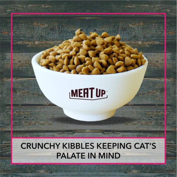 Meat Up Adult Dry Cat Food, Ocean Fish – 1.2kg (Buy 1 Get 1 Free)