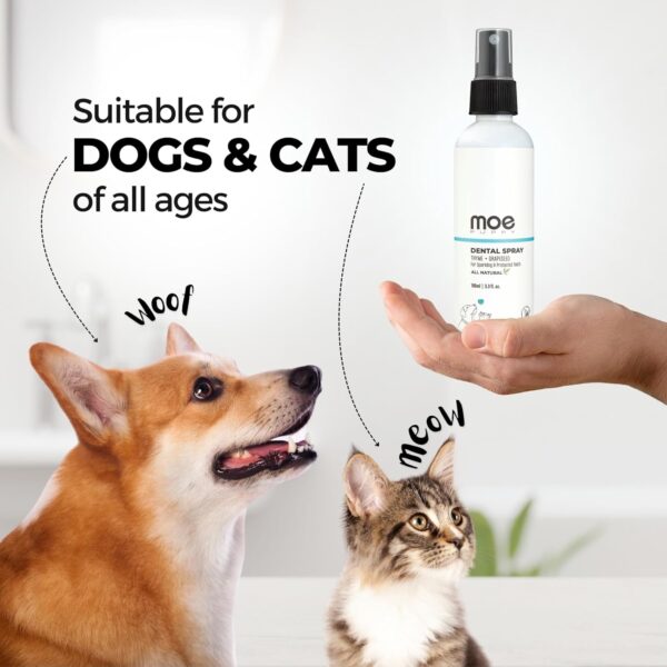 Moe Dental Spray for Dogs and Cats – Oral Spray for Dog Controls Plaque & Tartar, Freshens Breath | Aloe Vera, Grapeseed, Thyme | Dog Dental Care (100 ML)