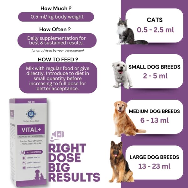 Vital+ Advanced Wellness Formula for Dogs & Cats | Multivitamin Syrup for Healthy Skin, Joints & Boosted Immunity | Nutritional Supplement with Vitamins & Minerals for Enhanced Growth – 200 ml