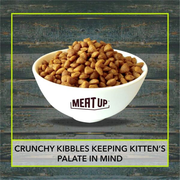 Meat Up Kitten(1-12 months) Dry Cat Food, Ocean Fish, 1.2kg (Buy 1 Get 1 Free)