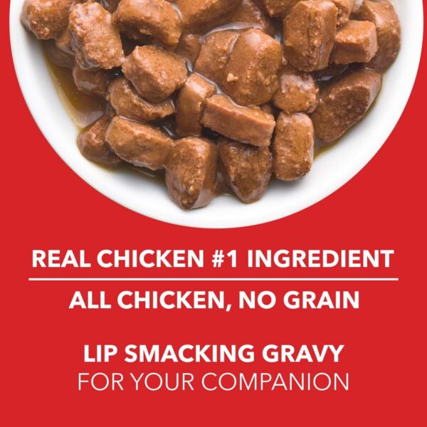 Drools Adult Wet Dog Food, Real Chicken and Chicken Liver Chunks in Gravy,2.25 Kg (150g x 15) Pack of 15