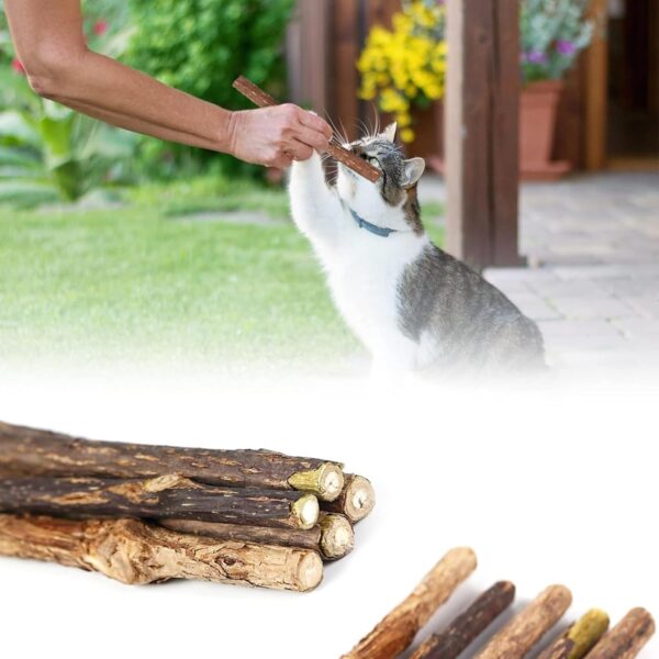 Emily Pets 15PCS Silvervine Sticks, Matatabi Dental Sticks Cat Toys, Cat Chew Stick Catnip Toys, Silver Vine Kitty Chew Toys for Indoor Cats