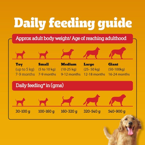 Pedigree Dry Food for Adult Dogs, Meat & Rice Flavour, 3kg Pack