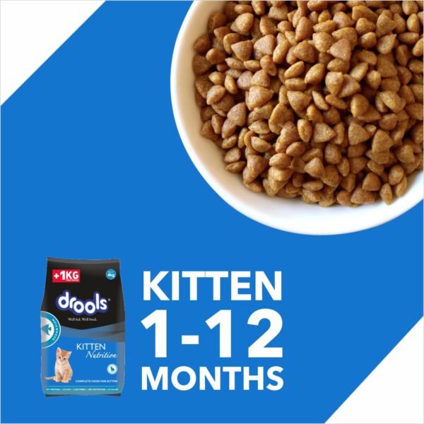 Drools Kitten(1-12 months) Dry Cat Food, Ocean Fish – 4kg (3kg + 1kg Free Food Inside)