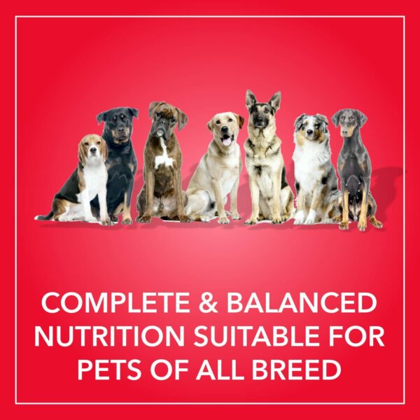 PUREPET Meat and Rice Adult Dog Pellet Food, 10kg