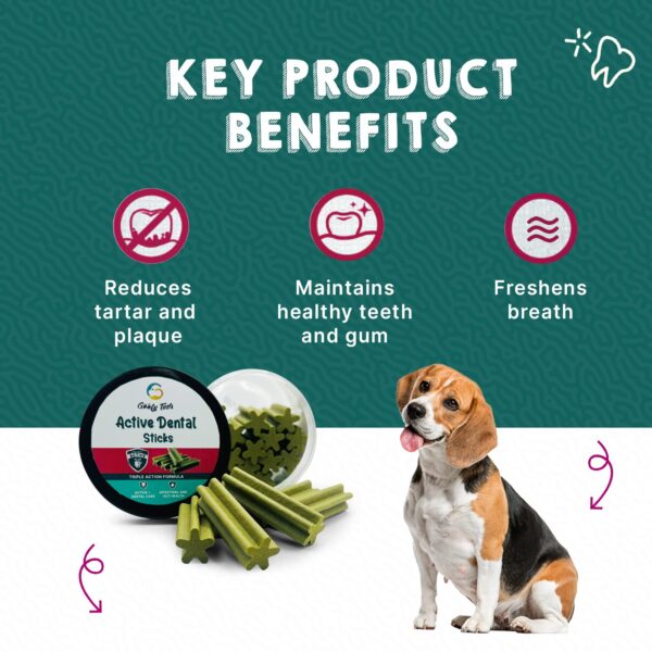 Goofy Tails Active Dental Sticks, Dog Treats Vegetarian, Dental Sticks for Dogs, Chew Sticks for Dogs, Dog Treats for Adult Dog and Puppies, Dog Chew Stick (Seaweed, 220g) (Pack of 1)