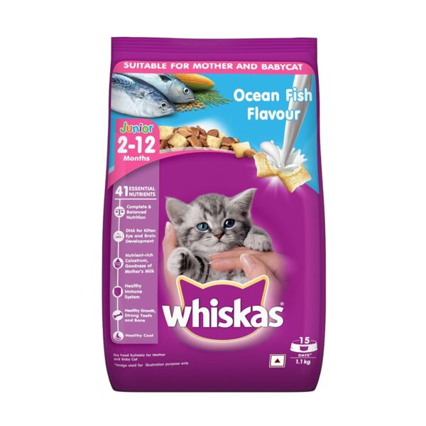 Whiskas Junior Mother Cat & Kitten (2-12 Months) Dry Cat Food, Ocean Fish Flavour, 1.1 kg, Contains 41 Essential Nutrients, Complete & Balanced Nutrition for Mother Cats & Kittens