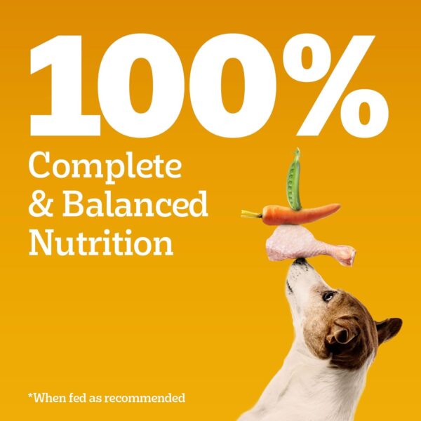 Pedigree Dry Food for Adult Dogs, Meat & Rice Flavour, 3kg Pack