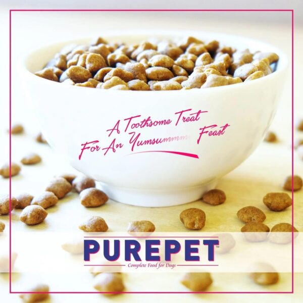 Purepet Adult Dry Cat Food Tuna & Salmon Flavour, 1 kg Pack