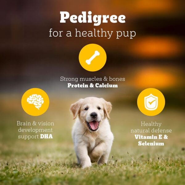 Pedigree Puppy Dry Dog Food, Chicken & Milk, 3kg Pack