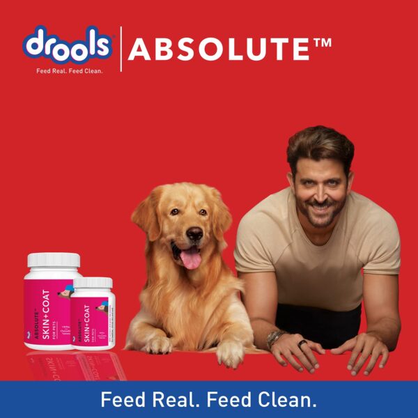 Drools Absolute Skin + Coat Tablet- Dog Supplement, 50 Pieces