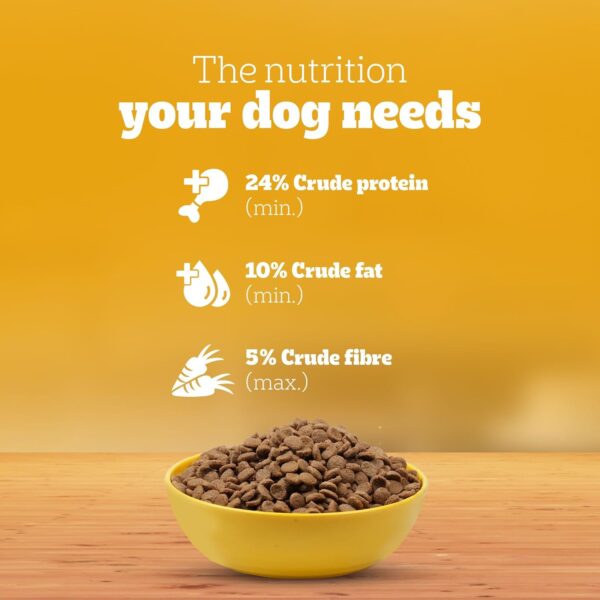 Pedigree Puppy Dry Dog Food, Chicken & Milk, 3kg Pack