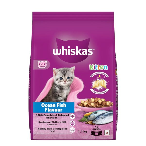 Whiskas Junior Mother Cat & Kitten (2-12 Months) Dry Cat Food, Ocean Fish Flavour, 1.1 kg, Contains 41 Essential Nutrients, Complete & Balanced Nutrition for Mother Cats & Kittens