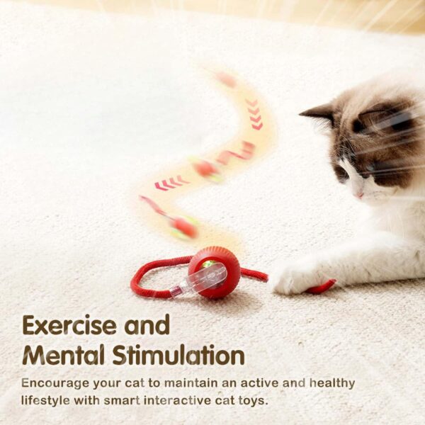 Interactive Cat Ball Toy, 2024 New Automatic Moving Dog Cat Balls, Premium Smart Self Rolling Cat Ball Kitty Toys USB Rechargeable, Cat Enrichment Toys for Bored Indoor Cats Dogs