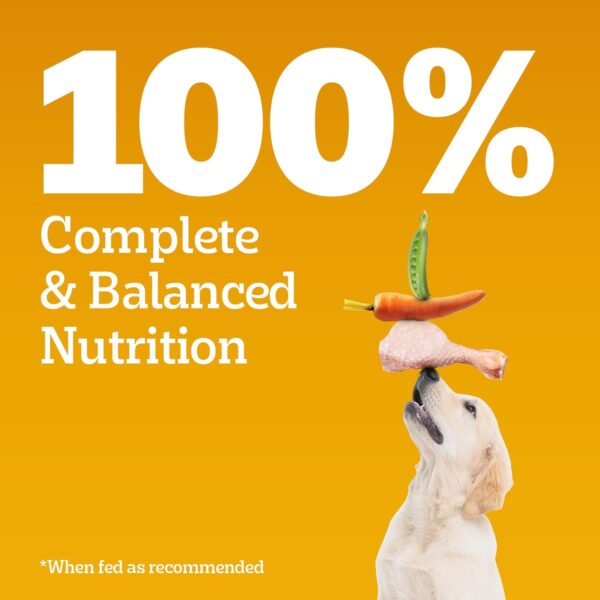 Pedigree Puppy Dry Dog Food, Chicken & Milk, 3kg Pack