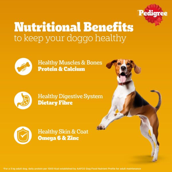 Pedigree Adult Wet Dog Food, Chicken & Liver Chunks in Gravy, 70 g (Pack of 30), Made with Real Meat, 100% Complete & Balanced Meal for Adult Dogs