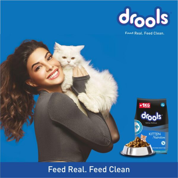Drools Kitten(1-12 months) Dry Cat Food, Ocean Fish – 4kg (3kg + 1kg Free Food Inside)