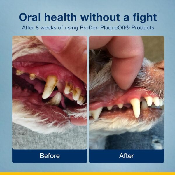 ProDen PlaqueOff Powder Supports Normal, Healthy Teeth, Gums, and Breath Odour in Dogs & Cats 20 gm