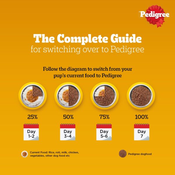 Pedigree Adult Wet Dog Food, Chicken & Liver Chunks in Gravy, 70 g (Pack of 30), Made with Real Meat, 100% Complete & Balanced Meal for Adult Dogs