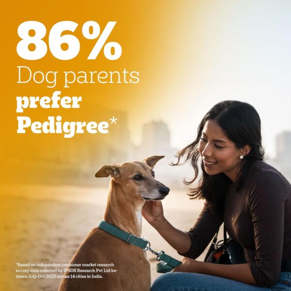 Pedigree Dry Food for Adult Dogs, Meat & Rice Flavour, 3kg Pack