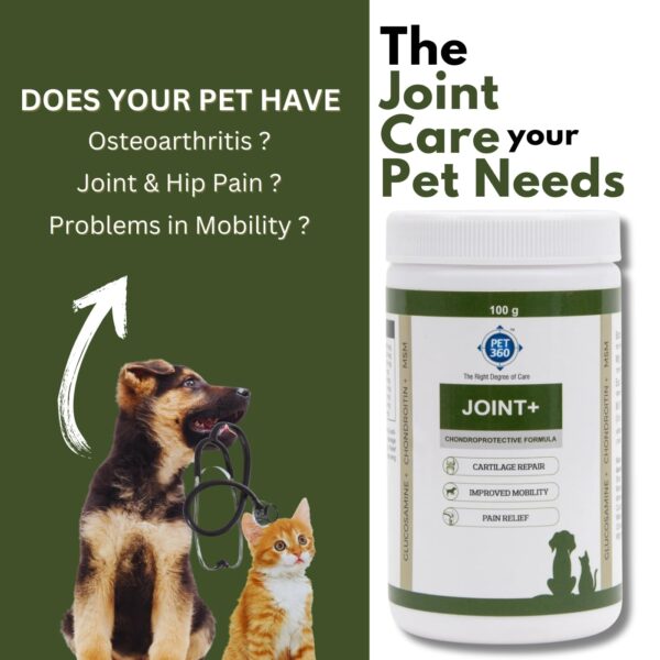 PET360 Joint+ Chondroprotective Formula – 100 gm | Hip, Joints, Cartilage Supplement for Dogs & Cats for Improved Mobility & Pain Relief with Glucosamine, Chondroitin, MSM | Suitable for All Breeds