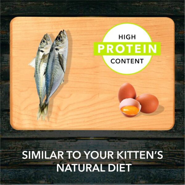 Meat Up Kitten(1-12 months) Dry Cat Food, Ocean Fish, 1.2kg (Buy 1 Get 1 Free)