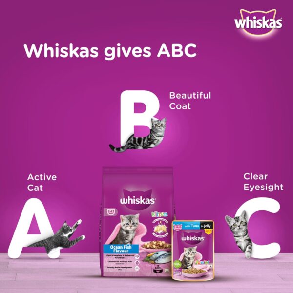 Whiskas Junior Mother Cat & Kitten (2-12 Months) Dry Cat Food, Ocean Fish Flavour, 1.1 kg, Contains 41 Essential Nutrients, Complete & Balanced Nutrition for Mother Cats & Kittens