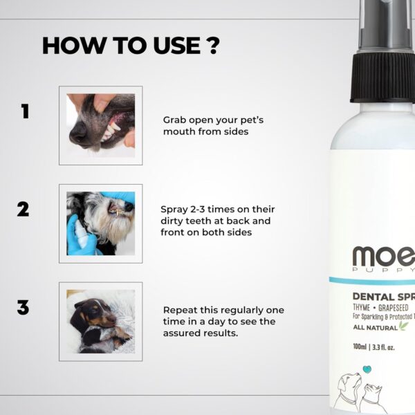 Moe Dental Spray for Dogs and Cats – Oral Spray for Dog Controls Plaque & Tartar, Freshens Breath | Aloe Vera, Grapeseed, Thyme | Dog Dental Care (100 ML)