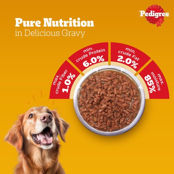 Pedigree Adult Wet Dog Food, Chicken & Liver Chunks in Gravy, 70 g (Pack of 30), Made with Real Meat, 100% Complete & Balanced Meal for Adult Dogs