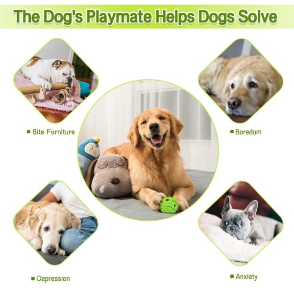 Tail Dog Toys + Dog Chew Toys + Puppy Teething Toys + Rope Dog Toy + Dog Toys for Small to Medium Dog Toys + Dog Toy Pack + Tug Toy + Dog Toy Set + Washable Cotton Rope for Dogs (Pack of 12)