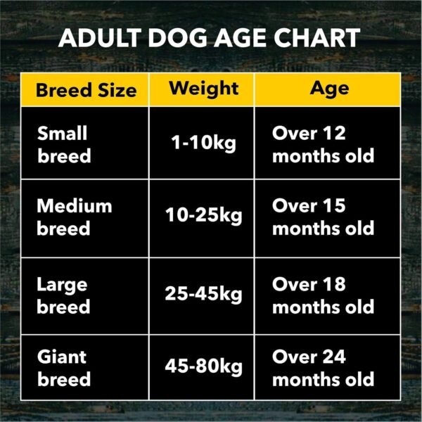 Meat Up Dry Adult Dog Food, Chicken Flavour, 3 KG (Buy 1 Get 1 Free)