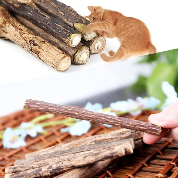 Emily Pets 15PCS Silvervine Sticks, Matatabi Dental Sticks Cat Toys, Cat Chew Stick Catnip Toys, Silver Vine Kitty Chew Toys for Indoor Cats