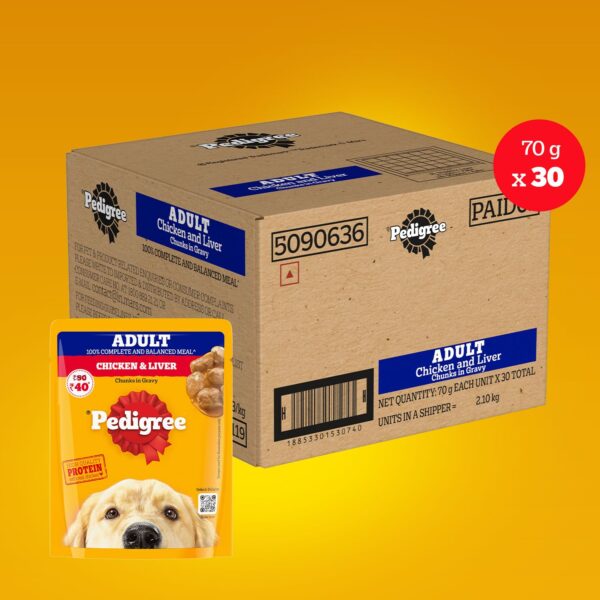 Pedigree Adult Wet Dog Food, Chicken & Liver Chunks in Gravy, 70 g (Pack of 30), Made with Real Meat, 100% Complete & Balanced Meal for Adult Dogs