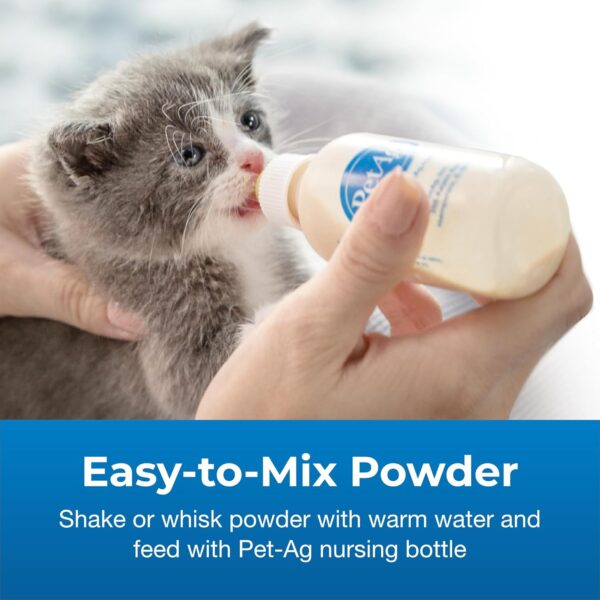 Pet-Ag KMR Kitten Milk Replacer Powder – 6 oz – Powdered Kitten Formula with Prebiotics, Probiotics & Vitamins for Kittens Newborn to Six Weeks Old – Easy to Digest