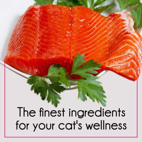 Purepet Adult Dry Cat Food Tuna & Salmon Flavour, 1 kg Pack