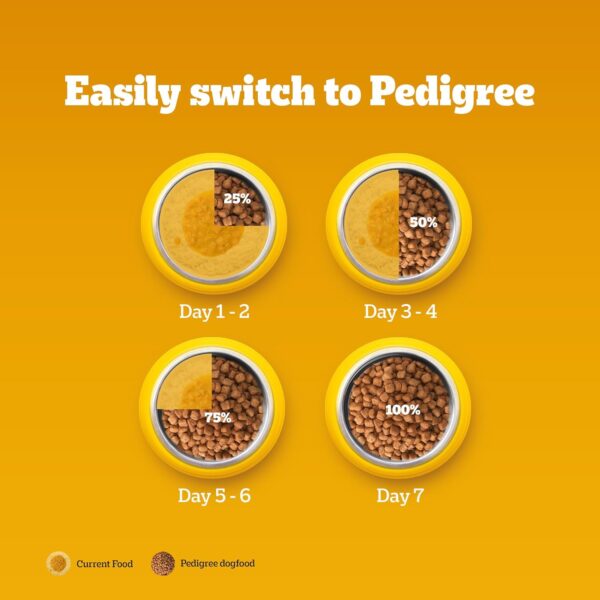 Pedigree Dry Food for Adult Dogs, Meat & Rice Flavour, 3kg Pack